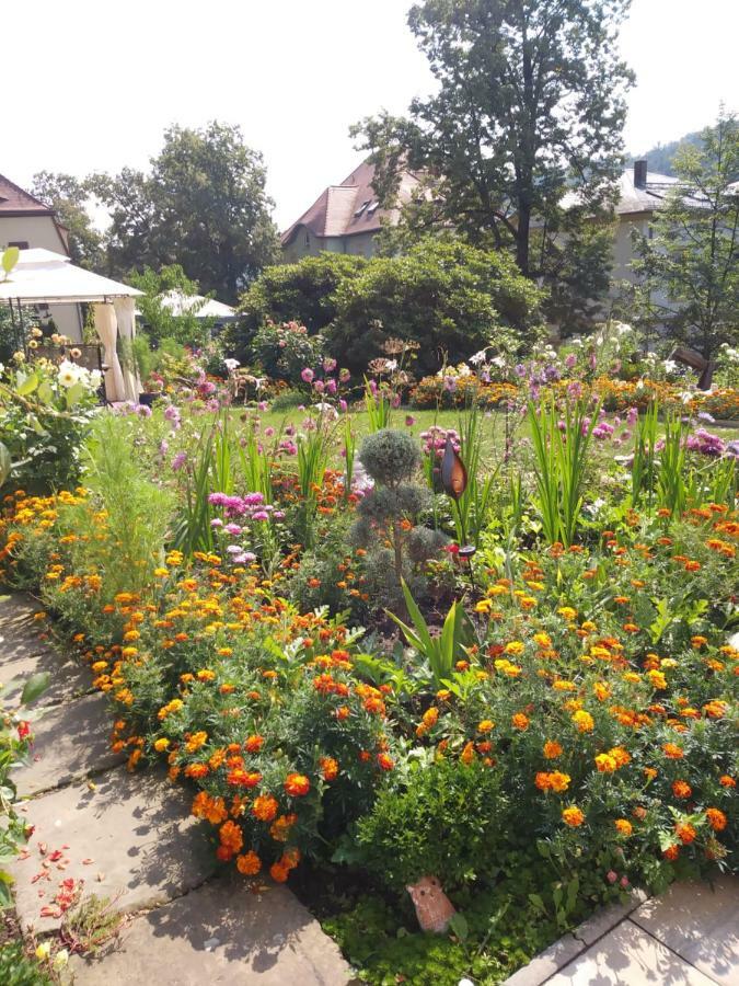 Ferienwohnungen Wilhelm Bad Schandau Extérieur photo